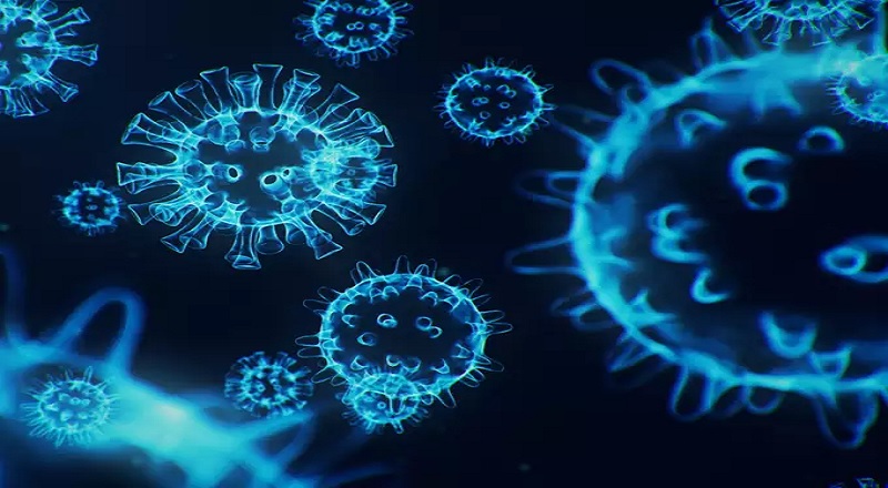 நெதர்லாந்தில் 61 பேர்களுக்கு ஒமிக்ரான் பாதிப்பு